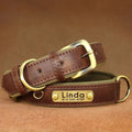 Collier pour chien coloris marron