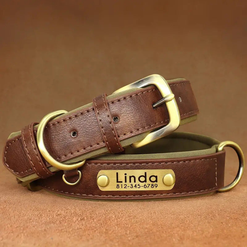 Collier pour chien coloris marron