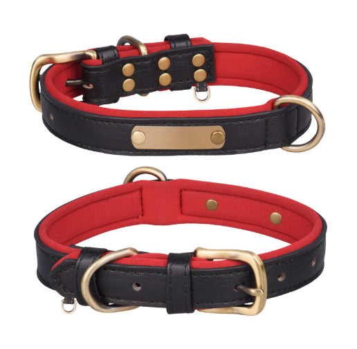 Collier pour chien coloris noir