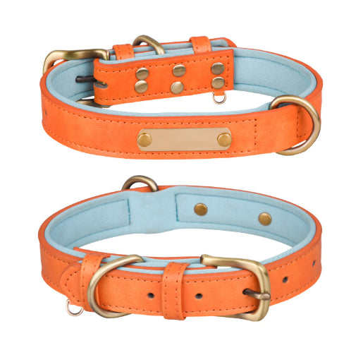 Collier pour chien coloris orange