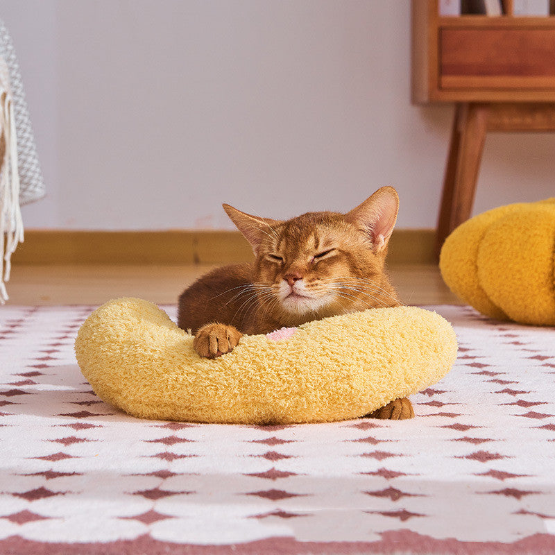 Coussin cervical pour chat dans un panier