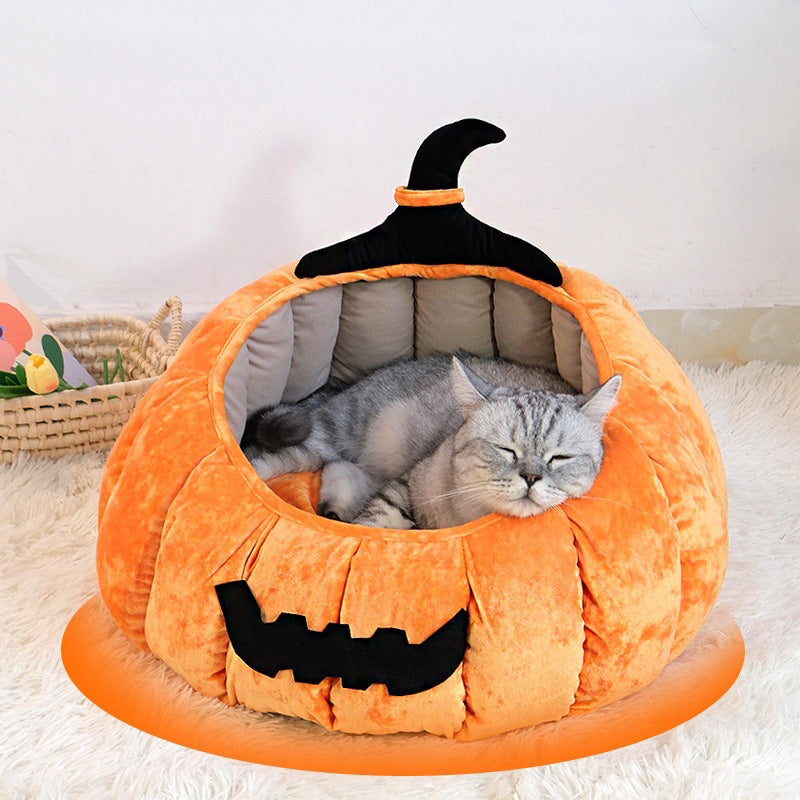 Chat installé dans le panier citrouille
