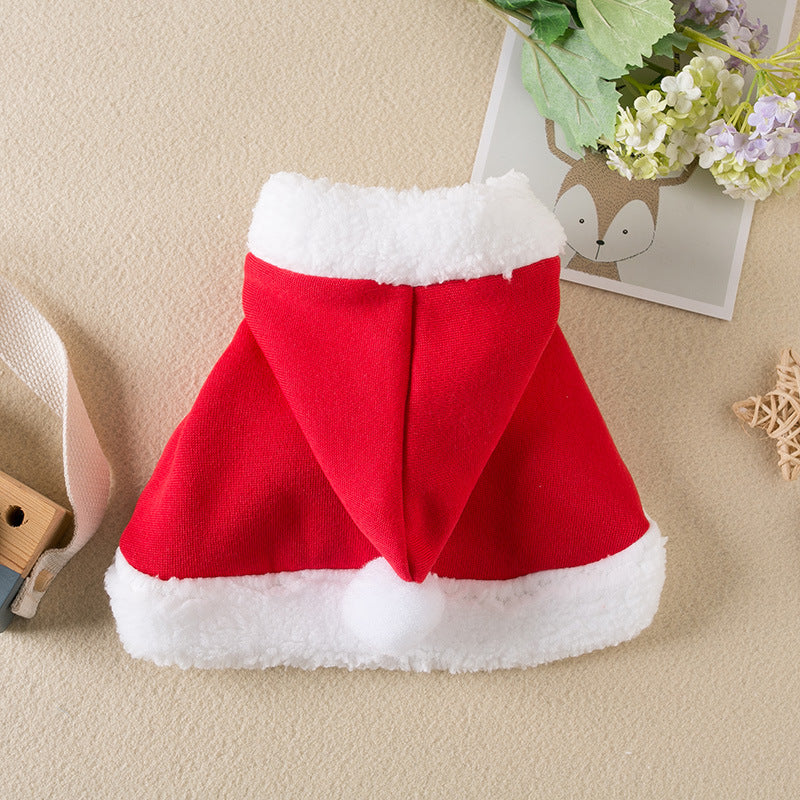 Cape de Noël pour animal en ambiance