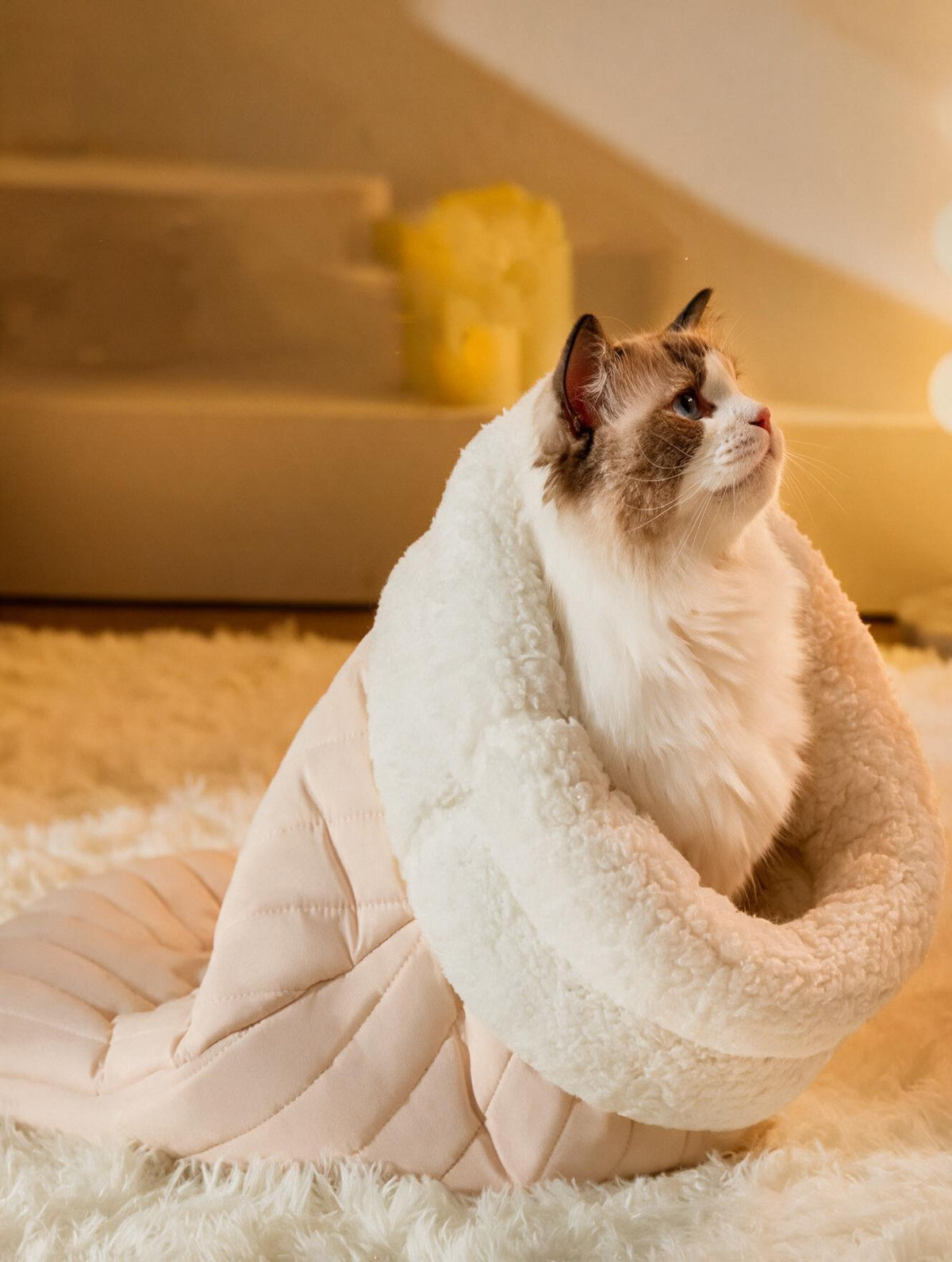 Sac de couchage grotte pour chat dans un salon