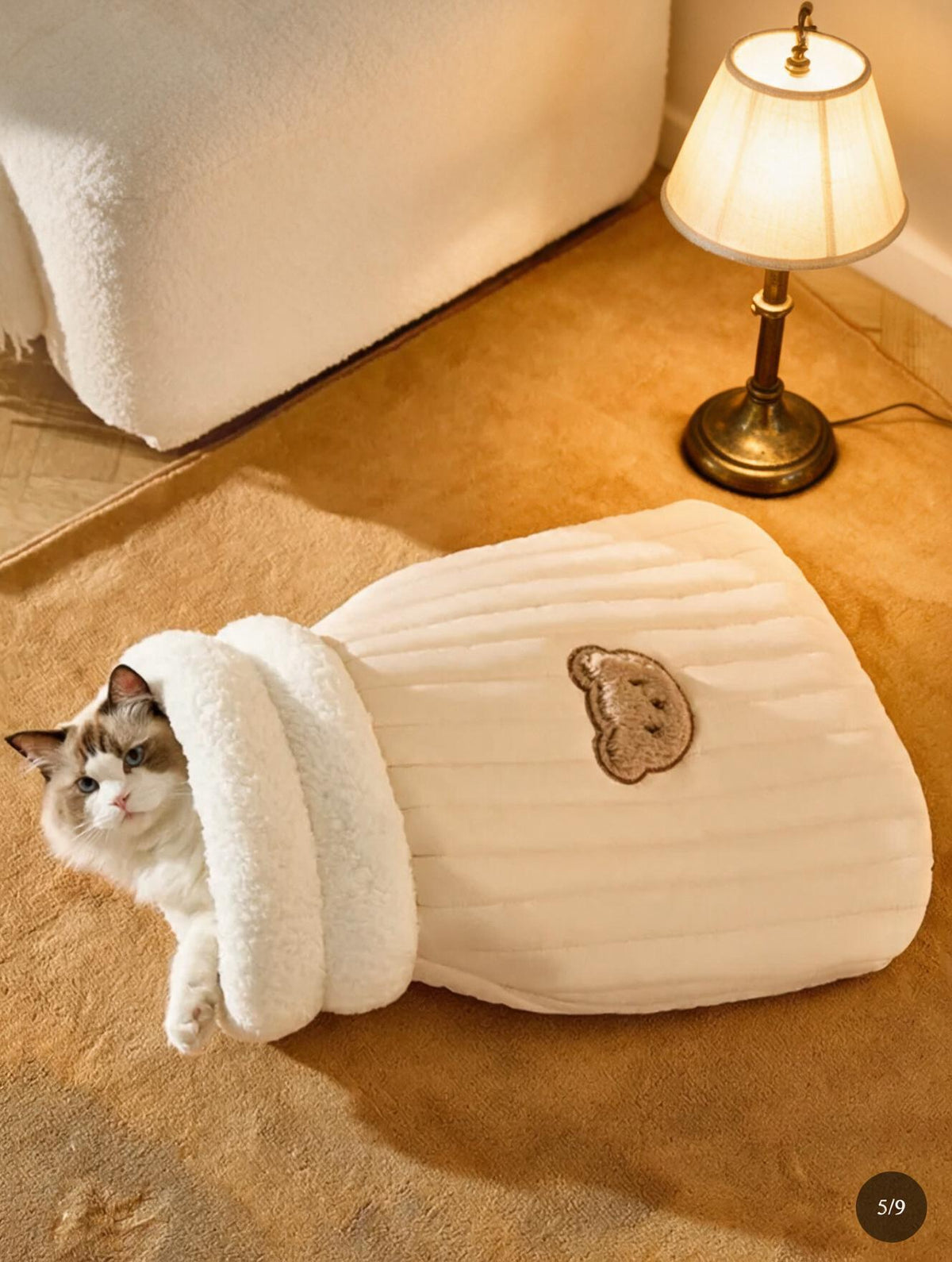 Chat enfoui dans son sac de couchage